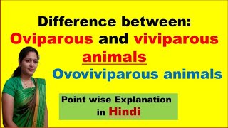 Oviparous Vs Viviparous animals  Ovoviviparous animals  In Hindi [upl. by Farnham691]