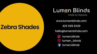 What Are Zebra Shades How Zebra Blinds amp Shades Work Lumen Blinds Window Treatments amp Coverings [upl. by Aikemot]