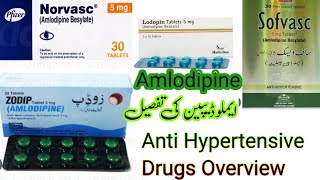 Anti Hypertensive Drugs Series  Amlodipine  Calcium Channel blocker  BP ka ilaaj Blood Pressure [upl. by Lewin905]