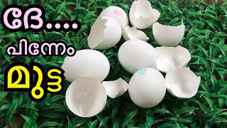 Egg Shell Bottle Art  DIY  Best Out Of Waste  Kitchen Waste Craft Ideas  Home Decor Craft Idea [upl. by Annahsed632]