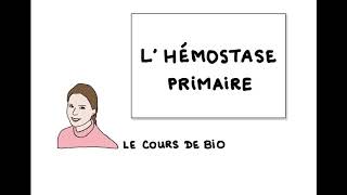 Hémostase primaire [upl. by Reckford]