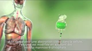 Comprendre les maladies lysosomales [upl. by Repsaj]