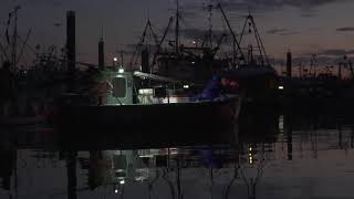 6am start to the day bass fishing from Newlyn [upl. by Borrell]