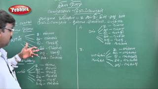 Penmai Thillaiyadi Valliammai  Payarsol  9th Std Tamil [upl. by Twila]