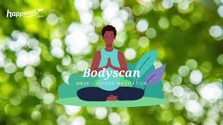 MBSR Meditation  Quick Bodyscan [upl. by Ariadne795]