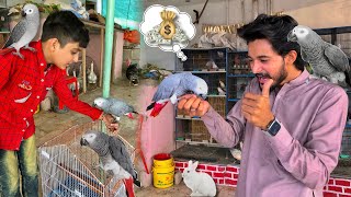 1 Lakh Ka African Grey Parrot Le Aye😍 Ye Tha Surprise [upl. by Ael303]