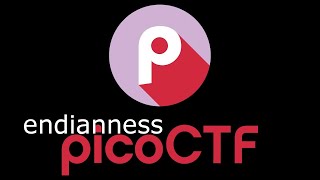 PicoCTF endianness [upl. by Hertzog786]