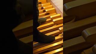 Crazy Pedal Solo on Pipe Organ 🤩 music organ church [upl. by Hearsh]