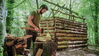 Cómo Hacer una Cabaña en el Bosque  Refugio de Vida Salvaje Supervivencia [upl. by Sucramej]