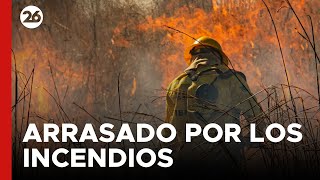 Incendios forestales amenazan los ecosistemas en humedales de Brasil [upl. by Ennis]