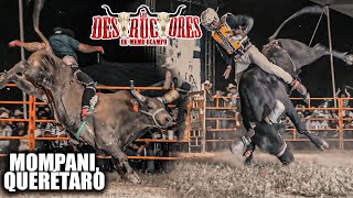 EL MEJOR TORO ACTUALMENTE EN EL JARIPEO EL SADICO  Rancho Los Destructores En Mompani Querétaro [upl. by Bergess704]