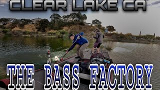 CLEAR LAKE Ca quotTHE BASS FACTORYquot [upl. by Oirevlis106]