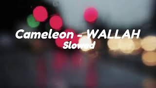 Cameleon  WALLAH slowed and reverb [upl. by Bergren]