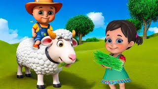 Baa Baa White Sheep New Compilation  Animal Farm Song  Nursery Rhymes and Kids Songs  Baby Bobo [upl. by Frantz377]