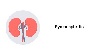 Nierenbeckenentzündung  Pyelonephritis Erkrankungen der Niere [upl. by Nauqe]