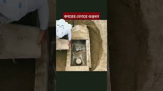 কবরের ভেতরে গুপ্তধন  হাসিনার কবর  shorts viral kobor hasina koraneralo786 [upl. by Folberth]