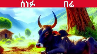 new teret teretamharic fairy tales newሰነፉ በሬteret [upl. by Euqinot]