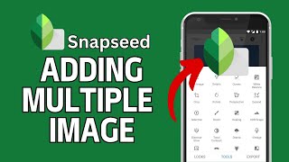 How to Add Multiple Images in Snapseed 2024 [upl. by Elianore]