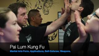 Start Pai Lum Kung Fu Training [upl. by Erdnuaed]