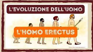 LHOMO ERECTUS videolezione di storia [upl. by Llain]