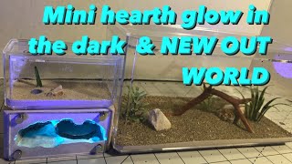 TAR HEEL ANTS Mini Hearth Glow in the dark amp New OUT WORLD [upl. by Oihsoy582]