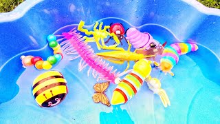 Bugs Fun  Learn Bug Insect Names for Babies Toddlers Preschoolers Kids Snail Caterpillar Bee [upl. by Michaella684]