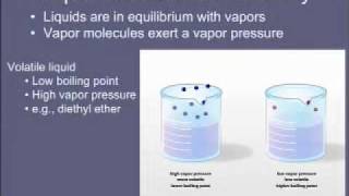 6 Vapor Pressure and Volatility [upl. by Yarw]