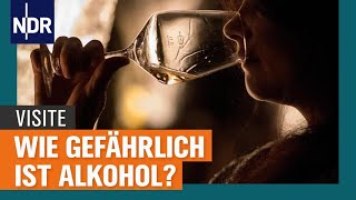 Alkohol und Gesundheit Wie gefährlich ist das Trinken wirklich  Visite  NDR [upl. by Seften]