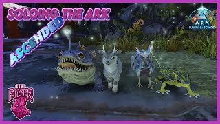 Light pets How To Tame Them and Where To Get Them Soloing Aberration Ep 13 [upl. by Lubbock]