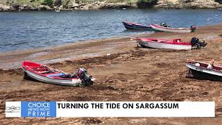 TURNING THE TIDE ON SARGASSUM [upl. by Eissalc350]