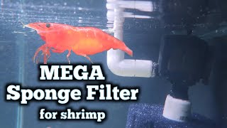 NEW Shrimp Tank Filter Build  Hang on Back Turbo Charged Double Monster Sponge Filter [upl. by Omora]