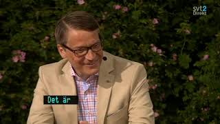 Almedalen 2013  Debatt med Göran Hägglund KD  Hela intervjun [upl. by Anaehr525]