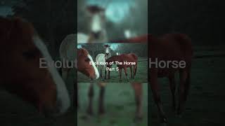 Horse Foot Was A Pad With Four Toes evolution horse eohippus history savetheworld nature [upl. by Caz]