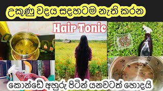 කරාබු නැට්ටෙන් කොන්ඩේ ඉක්මනින් වවමු  How to remove head lice Cloves Hair Treatmet [upl. by Monney473]