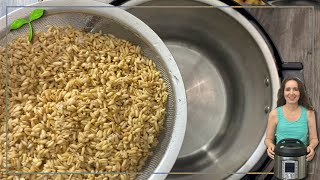 How to Cook Oat Groats in Instant Pot in 25 minutes So Easy [upl. by Feriga663]