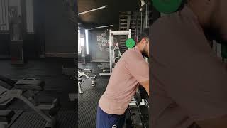 Best Bicep workout with dumbbells  forarms workout  hammer curl with reverse curl back to back [upl. by Gilman]