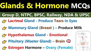 Glands amp Hormone MCQs  Endocrine amp Exocrine Glands  ग्रंथियां  Glands amp Hormone Biology MCQs Gk [upl. by Picco652]