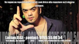 Lucian ELGI  Esti blondadar vopsita Radio Edit 2012 by YaYa Production [upl. by Mozes]