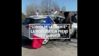 quotConvoi de la libertéquot  la mobilisation prend de lampleur [upl. by Notsruht]