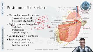 Parotid Gland amp Region [upl. by Iadrahc]