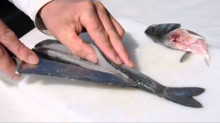 Wolfsbarsch oder Branzino filetieren  How to fillet sea bass [upl. by Celisse334]