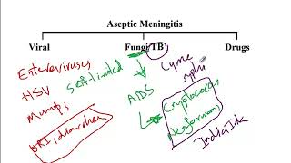 USMLE ACE Video 72 Septic and Aseptic Meningitis [upl. by Ahsirak]