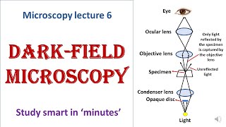 Darkfield microscope  working principle  Advantages disadvantages  Microscopy lecture 6 [upl. by Korrie558]