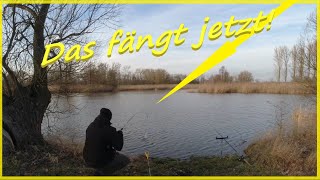 Friedfischangeln im Winter mit Pose und Grundmontage am See zum Erfolg [upl. by Illib]