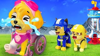 Paw Patrol The Mighty Movie  SKYE Please dont leave us  Sad Story  Rainbow 3 [upl. by Olcott]