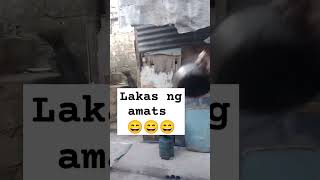 lakas ng amats funnny funnyclips shorts comedy [upl. by Kersten]