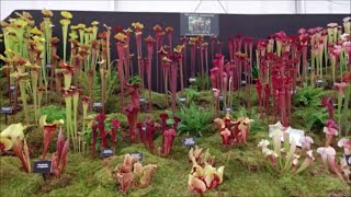 Gardeners World Live 2024 Walk Round Tour [upl. by Aiderfla955]