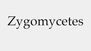 How to Pronounce Zygomycetes [upl. by Ahsinotna]