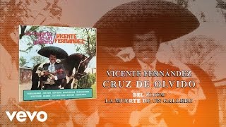 Vicente Fernández  Cruz de Olvido Cover Audio [upl. by Onitram]