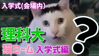 猫ミームで分かる理科大～入学式編～【東京理科大学 】 [upl. by Breech]